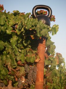 Kettlebell in Grapes